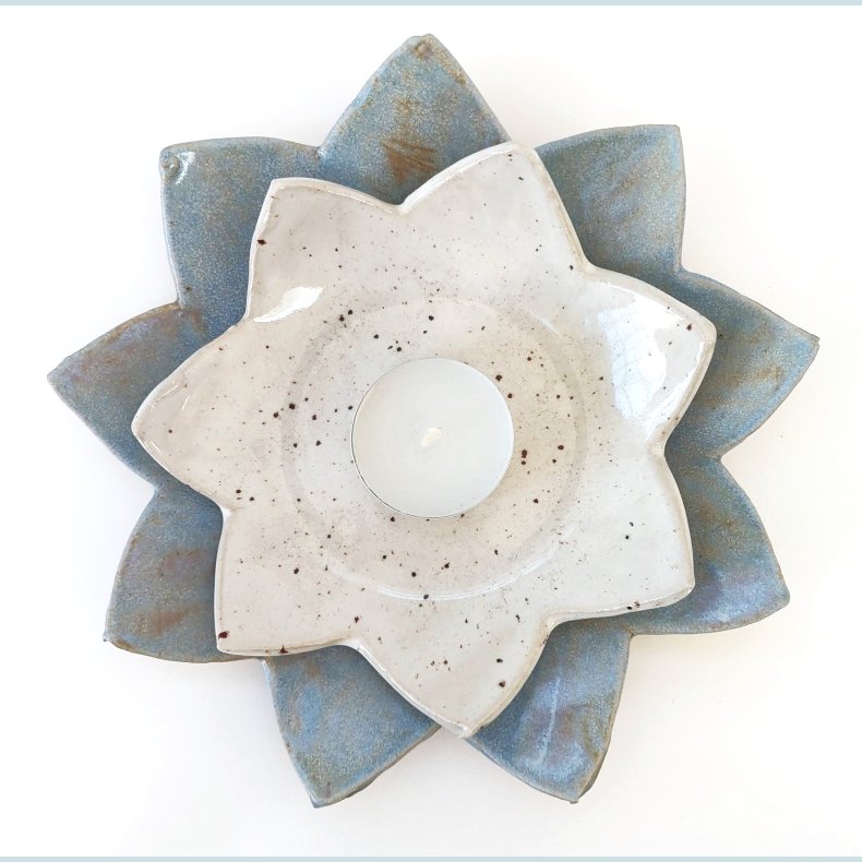 Lille r�hvid �kande med sortebrune nister