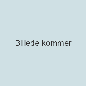 Lille klokke i sand med sortbrune nister